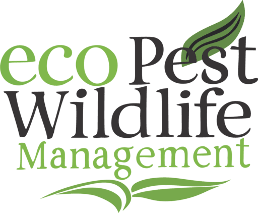 ecoPest Wildlife Management Logo PNG