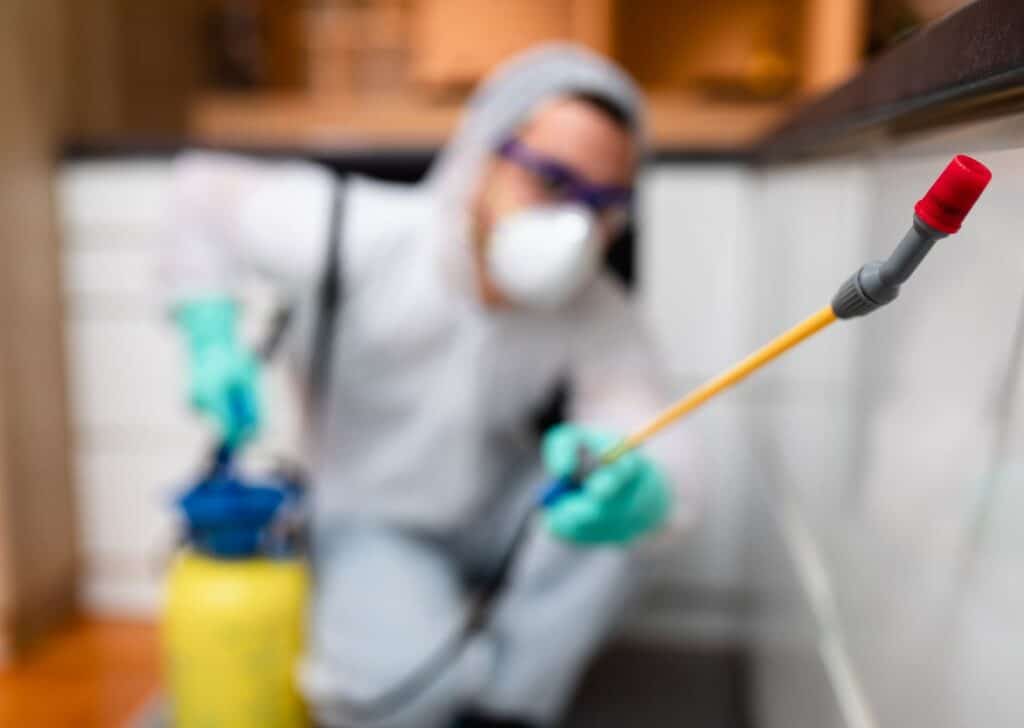 Our pest control expert spraying pesticides