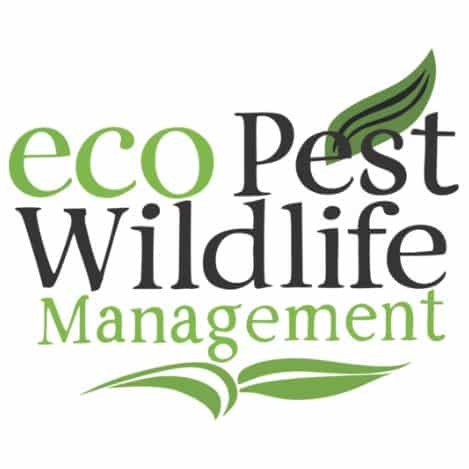 ecoPest Wildlife Management